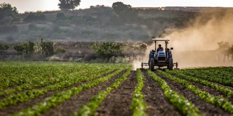 Minus un document: A fost exclusă condiția adăugată recent pentru care agricultorii afectați de secetă puteau primi suport financiar | VIDEO