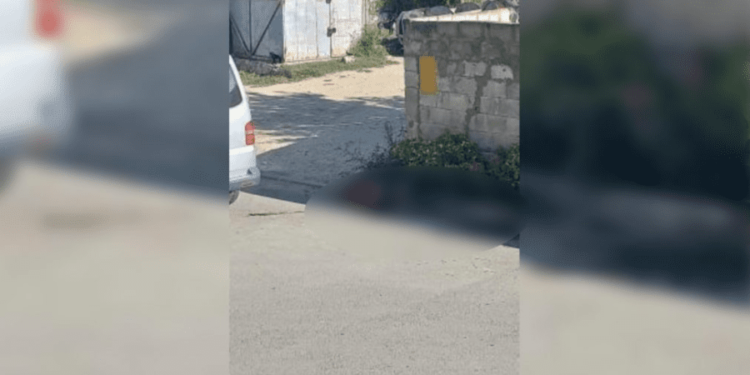 В Кагуле женщина погибла под колесами автомобиля