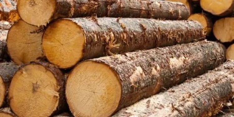 В этом году цена на дрова для топки вырастет: пояснения министра окружающей среды