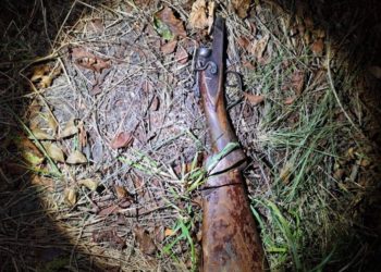 В Фалештах двое мужчин убили диких кабанов. Их задержали сотрудники инспектората защиты окружающей среды