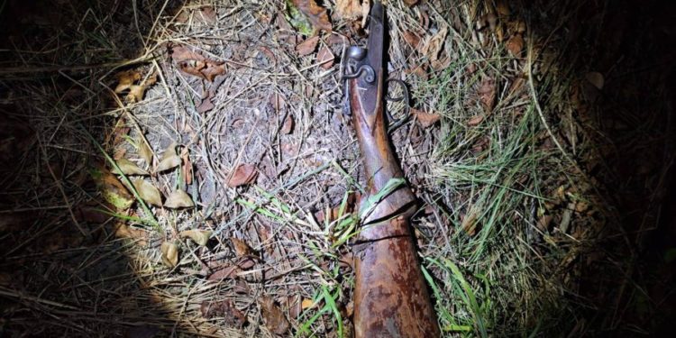 В Фалештах двое мужчин убили диких кабанов. Их задержали сотрудники инспектората защиты окружающей среды