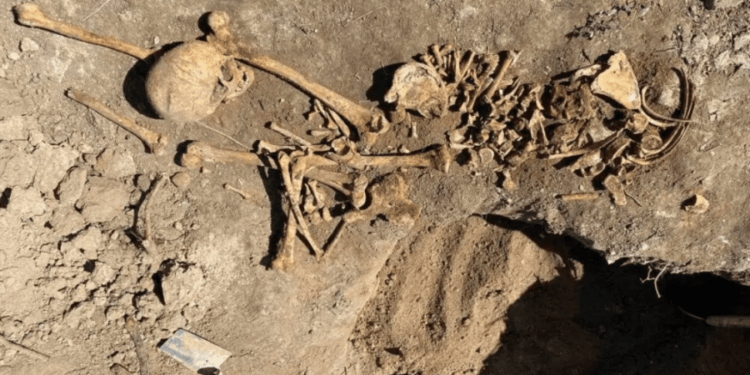 Человеческие останки обнаружил во дворе своего дома житель Атак