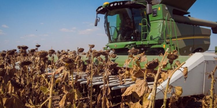 Аграрии в отчаянии: в Ассоциации “Сила фермеров” сообщили о критической ситуации на юге страны