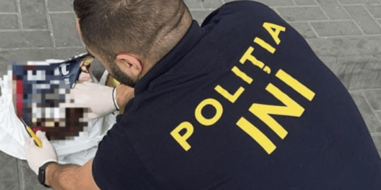 Вместо корма для животных — наркотики: Правоохранительные органы обнаружили запрещенные вещества на 8 млн леев