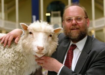 Умер генетик Иэн Уилмут — один из авторов эксперимента по клонированию овечки Долли