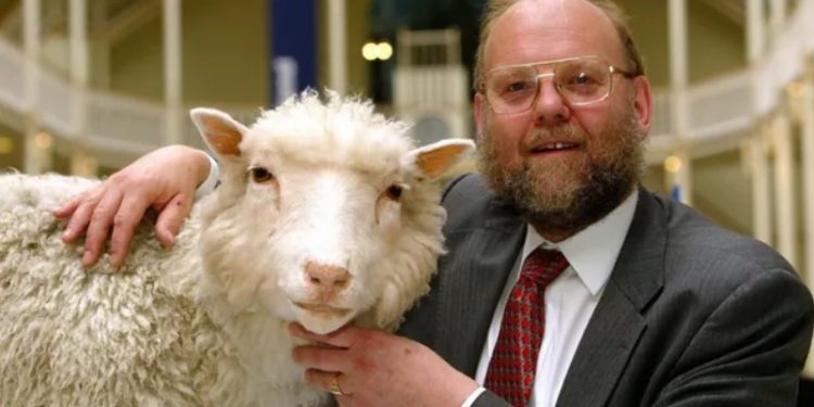 Умер генетик Иэн Уилмут — один из авторов эксперимента по клонированию овечки Долли