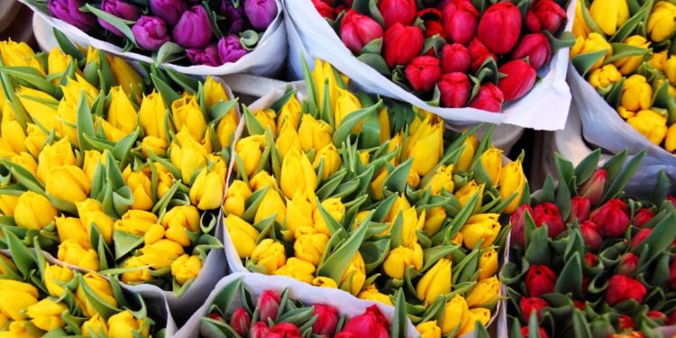 Azi, în prima zi de școală comercianţii de flori au fost verificaţi de inspectorii fiscali | VIDEO