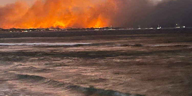 Названа причина возникновения уничтоживших город на Гавайях пожаров