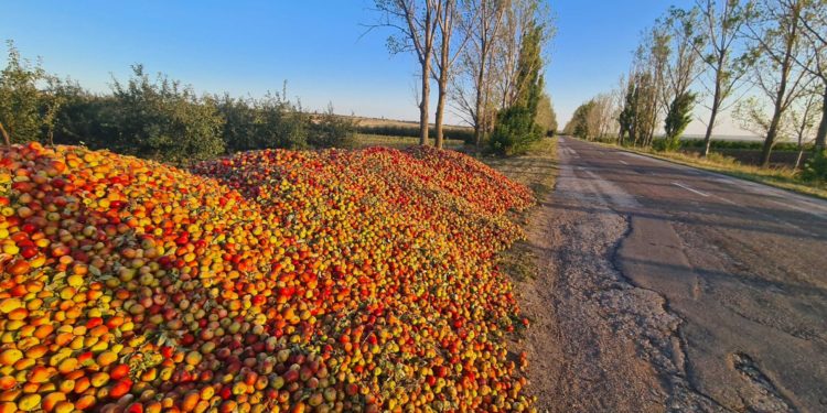 В Единецком районе заметили груды яблок на обочине дороги. Что с ними будут делать