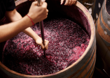 ГИЧС предупреждает о рисках, связанных с производством вина на дому