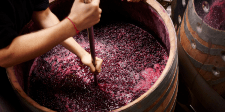 ГИЧС предупреждает о рисках, связанных с производством вина на дому