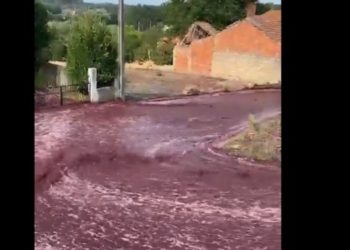Красные реки: в Португалии вино затопило улицы города