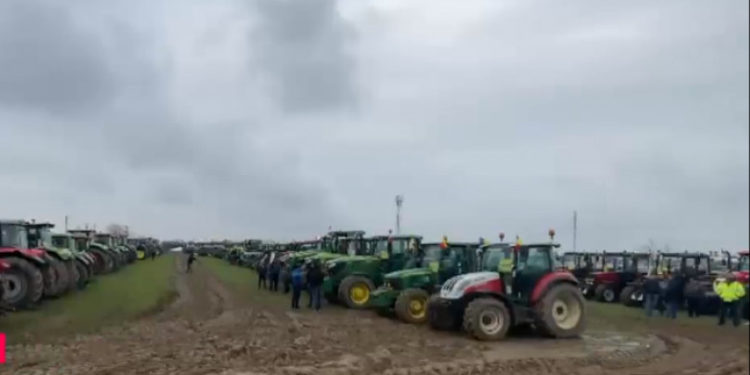 Fermierii români amenință cu blocarea porturilor și vămilor din cauza cerealelor ucrainene