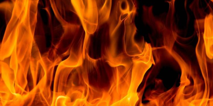 Incendiu puternic într-o pădure din Capitală. Flăcările pot fi observate de la distanță | VIDEO