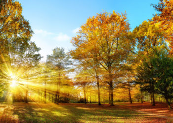 Vreme confortabilă, însă cu o ușoară instabilitate la mijlocul perioadei. Ce temperaturi ne așteaptă în primul weekend din toamnă