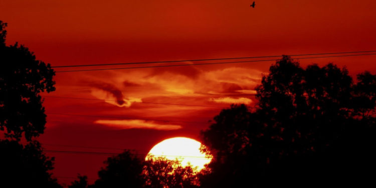 „Un nou record”. Val de căldură fără precedent pentru luna septembrie în Marea Britanie