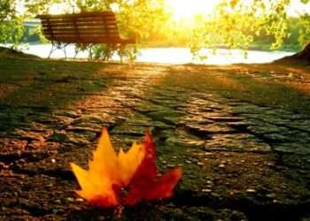 Zi însorită și temperaturi generoase: Pentru ziua de mâine, se așteaptă o schimbare bruscă a vremii