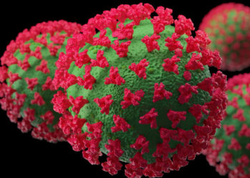 Noua variantă de virus SARS-CoV-2, Pirola, a fost depistată şi în Franţa