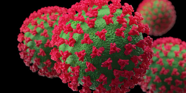 Noua variantă de virus SARS-CoV-2, Pirola, a fost depistată şi în Franţa