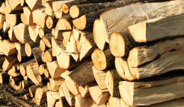 Ministrul Mediului anunță că în noul sezon rece, lemnele de foc se vor scumpi. Ce sprijin vor primi persoanele social vulnerabile | VIDEO