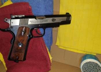 Un pistol și muniții au depistat Vameșii de la Leușeni-Albița