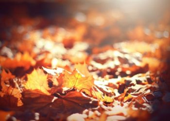 Nopţi reci şi fără ploi. Ce temperaturi ne prognozează meteorologii