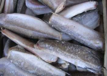 Чрезмерное количество льда в замороженной рыбе и морепродуктах: проверки НАБПП