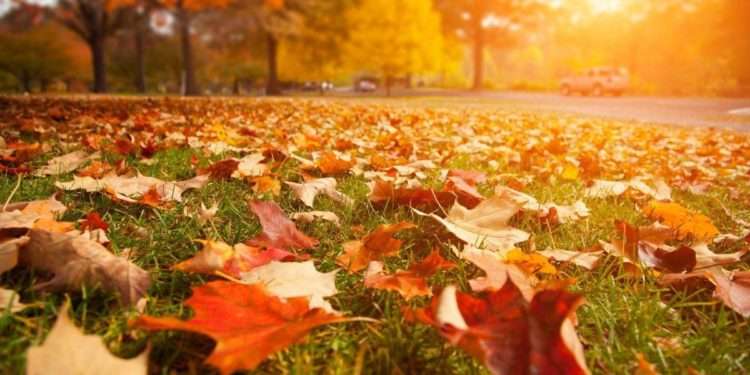 В Молдове к концу недели ожидается потепление