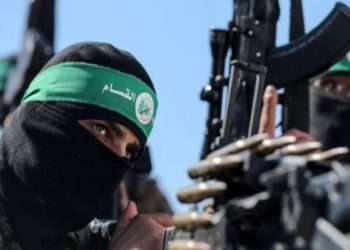 Турция подтвердила переговоры с ХАМАС об освобождении заложников