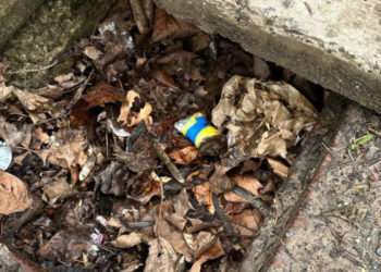 В Кишиневе во дворе школы задержали таксиста. У него нашли наркотики на 300 тыс. леев