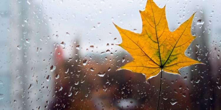 Синоптики предупреждают о возможных дождях