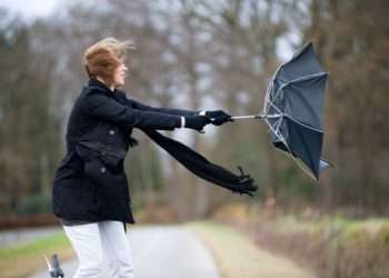 Внимание, желтый код: Синоптики предупреждают о сильном ветре