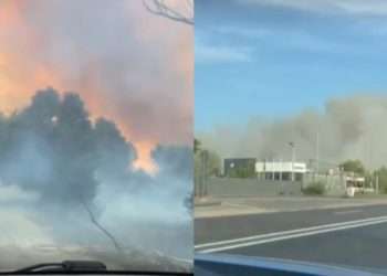 Пепел летал даже над столицей: в Страшенском районе загорелся камыш