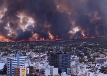 В Аргентине любитель кофе устроил мощный пожар