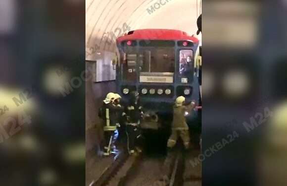 «Мужчину зажало между вагонами». В московском метро столкнулись два поезда