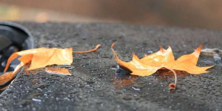 Какой будет погода на следующей неделе. Прогноз синоптиков