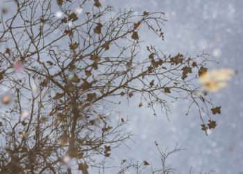 Meteorologii au emis cod galben de vânt puternic: Vremea se răcește chiar de luni