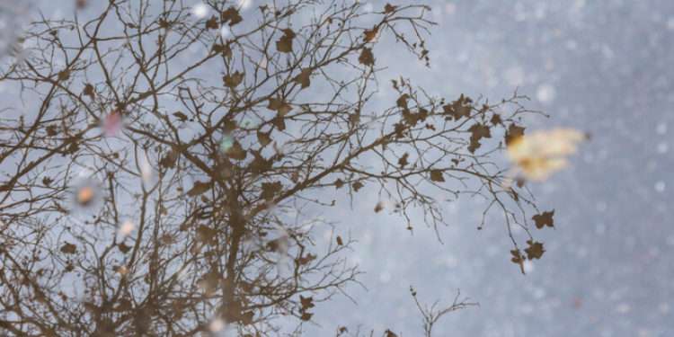 Meteorologii au emis cod galben de vânt puternic: Vremea se răcește chiar de luni