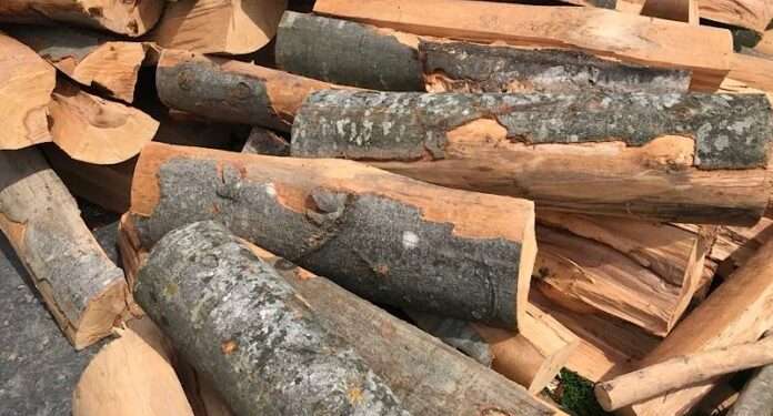 Tot mai puține lemne pentru cetățeni. Agenția „Moldsilva” înregistrează o cantitatea insuficientă pentru întreg sezon de iarnă: Totul depinde de evoluția prețului la gazele naturale | VIDEO