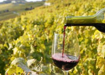 „Vinul nostru cucerește lumea”: Care sunt țările în care moldovenii exportă cel mai mult vin