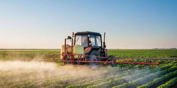 Sprijinul financiar acordat agricultorilor de Ilan Şor, blocat de autorități: Fermierii spun că situația actuală este critică, iar asistența acordată de stat nu este suficientă | VIDEO