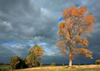 COD GALBEN de vreme instabilă: Când va intra în vigoare