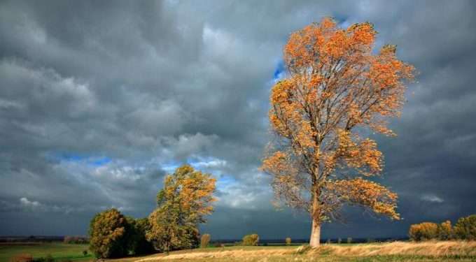 COD GALBEN de vreme instabilă: Când va intra în vigoare