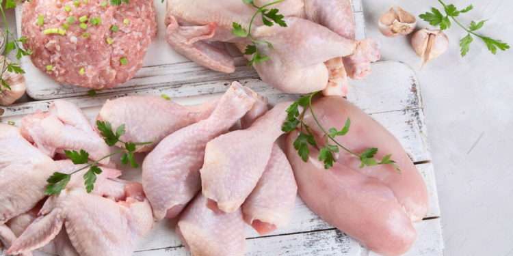 Alertă alimentară în Europa: Sute de cazuri de salmonella, descoperită în carne de pui