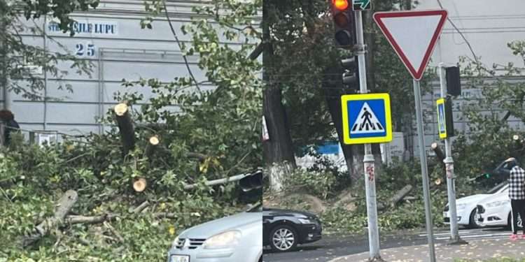 Chișinău: Un semafor din sectorul Buiucani, rupt în două. Cum a fost posibil