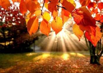 Vară în mijloc de toamnă! Meteorologii anunță pentru ziua de azi temperaturi de până la 29 de grade