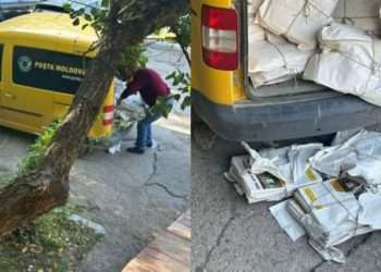 PSDE требует ЦИК и ГИП отреагировать на случай нарушения ПДС избирательных правил