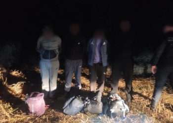 Patru indieni, reținuți cu ajutorul sistemului de supraveghere aeriană în apropiere de Prut