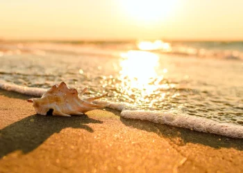 Marea Neagră are 20 grade Celsius în octombrie, cea mai mare temperatură din ultimii 40 de ani | VIDEO