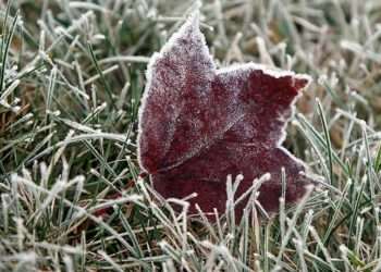 Meteorologii prognozează vânt puternic și înghețuri. Recomandările specialiștilor